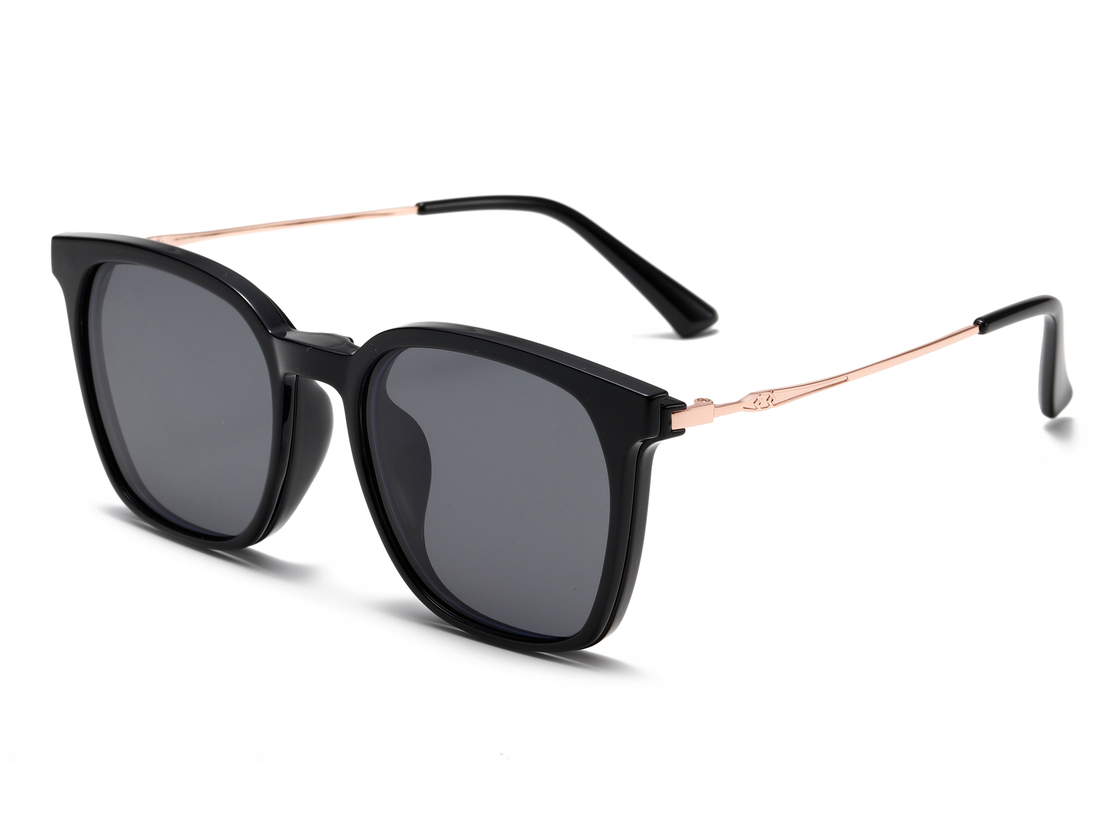 Modelo Eclipse– Montura  + 4 clips